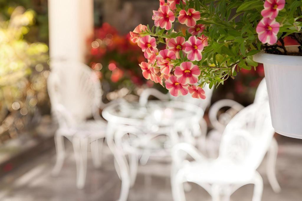 Hoa Sen Vang Hotel Dalat Экстерьер фото