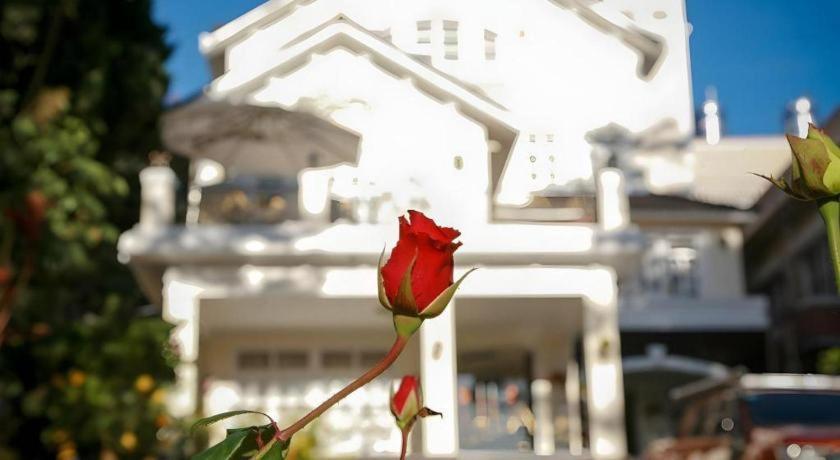 Hoa Sen Vang Hotel Dalat Экстерьер фото